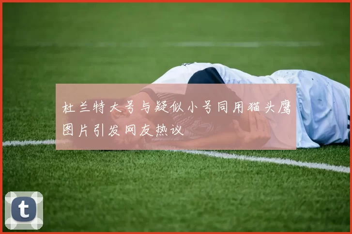 杜兰特大号与疑似小号同用猫头鹰图片引发网友热议