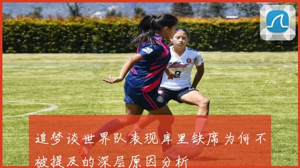 追梦谈世界队表现库里缺席为何不被提及的深层原因分析