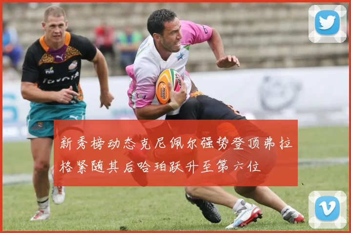 新秀榜动态克尼佩尔强势登顶弗拉格紧随其后哈珀跃升至第六位